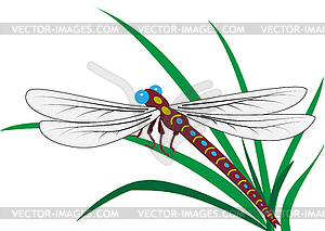 Стрекоза - изображение в векторе