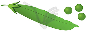 Pea pod - vector clipart