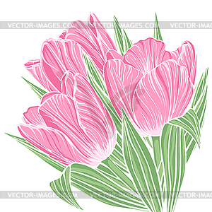 Floral background with flowers of tulips - vector image