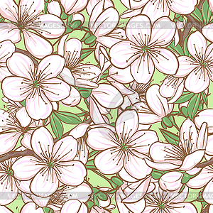 Seamless pattern with cherry blossom - vector image