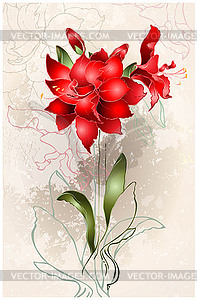 Beautiful greeting card with Amaryllis - vector clipart