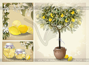 Дерево с лимоном фруктов. Джем фруктовый. Консервированные фрукты - клипарт Royalty-Free