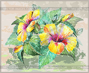 Greeting card with hibiscus. hibiscus - vector clip art