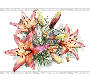 Watercolor bouquet of lilies - vector clipart