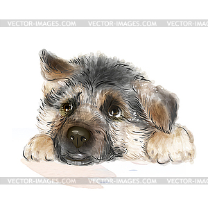 Portrait of german shepherd puppy - vector image