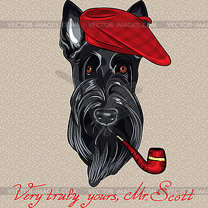 Funny cartoon hipster dog Scottish Terrier - vector clipart