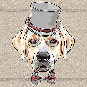 Serious cartoon hipster dog Labrador Retriever breed - vector image