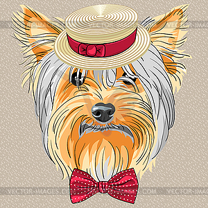 Funny cartoon hipster dog Yorkshire Terrier - vector clipart / vector image