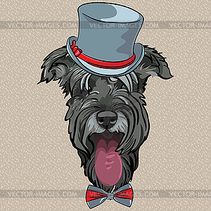 Забавный мультяшный битник собака шнауцер - векторное изображение клипарта