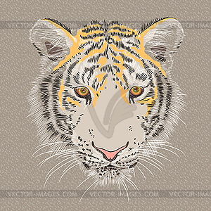 Портрет серьезных тигра - изображение в векторе
