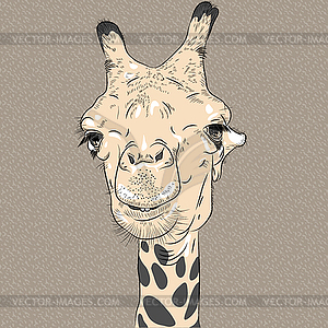 Portrait of funny camel - vector clipart