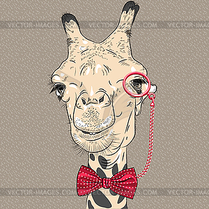 Portrait of funny camel hipster - vector image