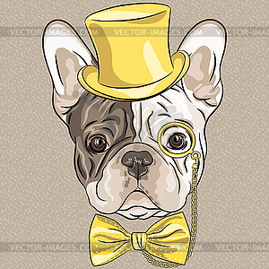 Funny cartoon hipster French Bulldog dog - vector clipart