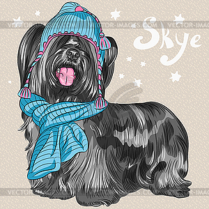 Cartoon hipster dog Skye Terrier breed smiling - vector clip art