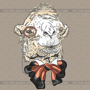 Portrait of funny Camel hipster - vector clipart