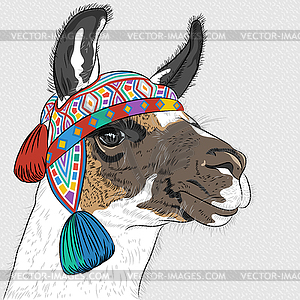 Sketch of Alpaca - vector clipart