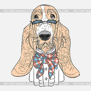 Забавный мультяшный битник собака Бассет-хаунд - стоковое векторное изображение