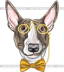 Funny cartoon hipster dog Bullterrier - vector clipart