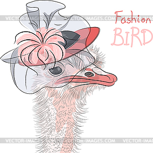 Funny fashion Ostrich Bird in beautiful hat - vector image