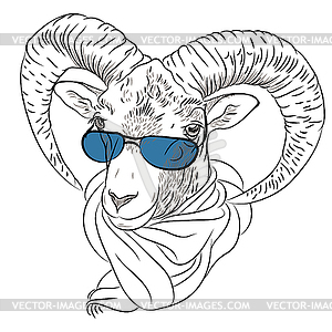 Portrait of funny Alpine ibex - vector image