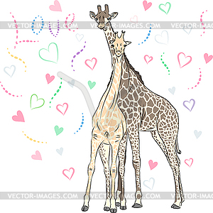 Funny couple in love giraffes - vector clipart