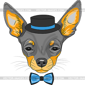 Cartoon hipster dog Chihuahua breed - vector image