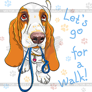 Baby dog Basset Hound breed - vector clipart