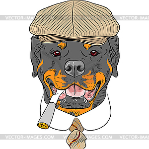 Funny cartoon hipster dog Rottweiler - vector EPS clipart