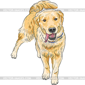 Sketch happy dog breed Labrador Retriever smiling - vector EPS clipart