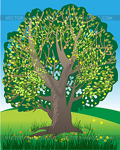 Huge old tree - vector clip art