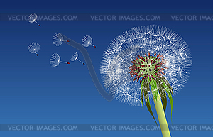 Dandelion seeds blown in blue sky - vector clipart