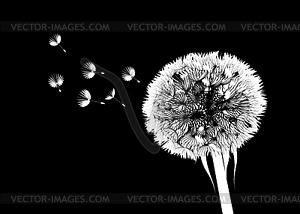 Dandelion flower - vector image