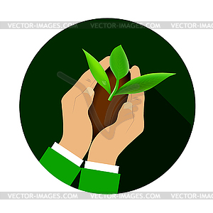 Hands holding young plant - vector clipart