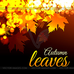 Autumn leaves - vector clip art