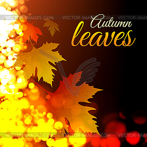 Autumn leaves - vector clipart