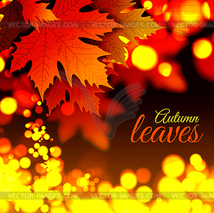 Autumn leaves - vector image