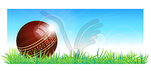 Cricket ball - vector clip art