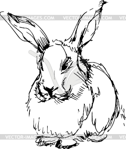 Rabbit with long ears - vector clipart