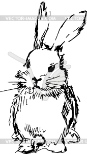 Rabbit with long ears - vector clipart