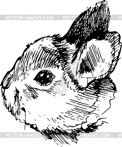 Rabbit with long ears - vector clipart