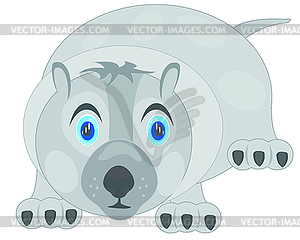 Bear - vector clipart