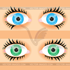 Eye of person - vector image