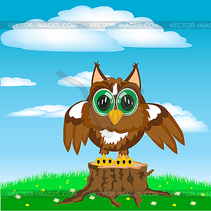 Owl on glade - vector image