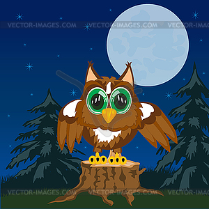 Owl in night - vector clipart