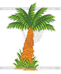 Дерево пальмы - иллюстрация в векторном формате