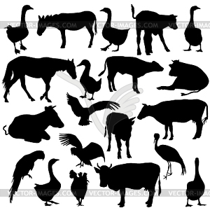 Black set silhouettes zoo animals collection - vector image