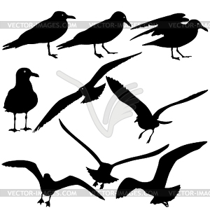 Set black silhouettes of seagulls. il - vector clipart