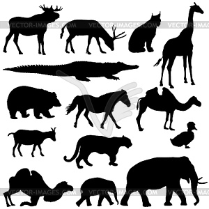 Silhouette elephant bear eagle trot duck zebra - vector clipart