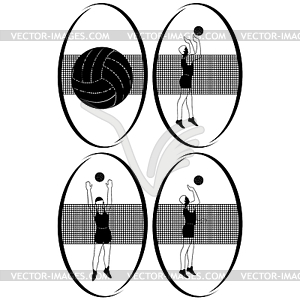 Volleyball- - vector image