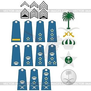 Air Force insignia Saudi Arabia - vector clipart